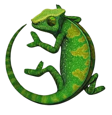 Logo Iguane Informatique